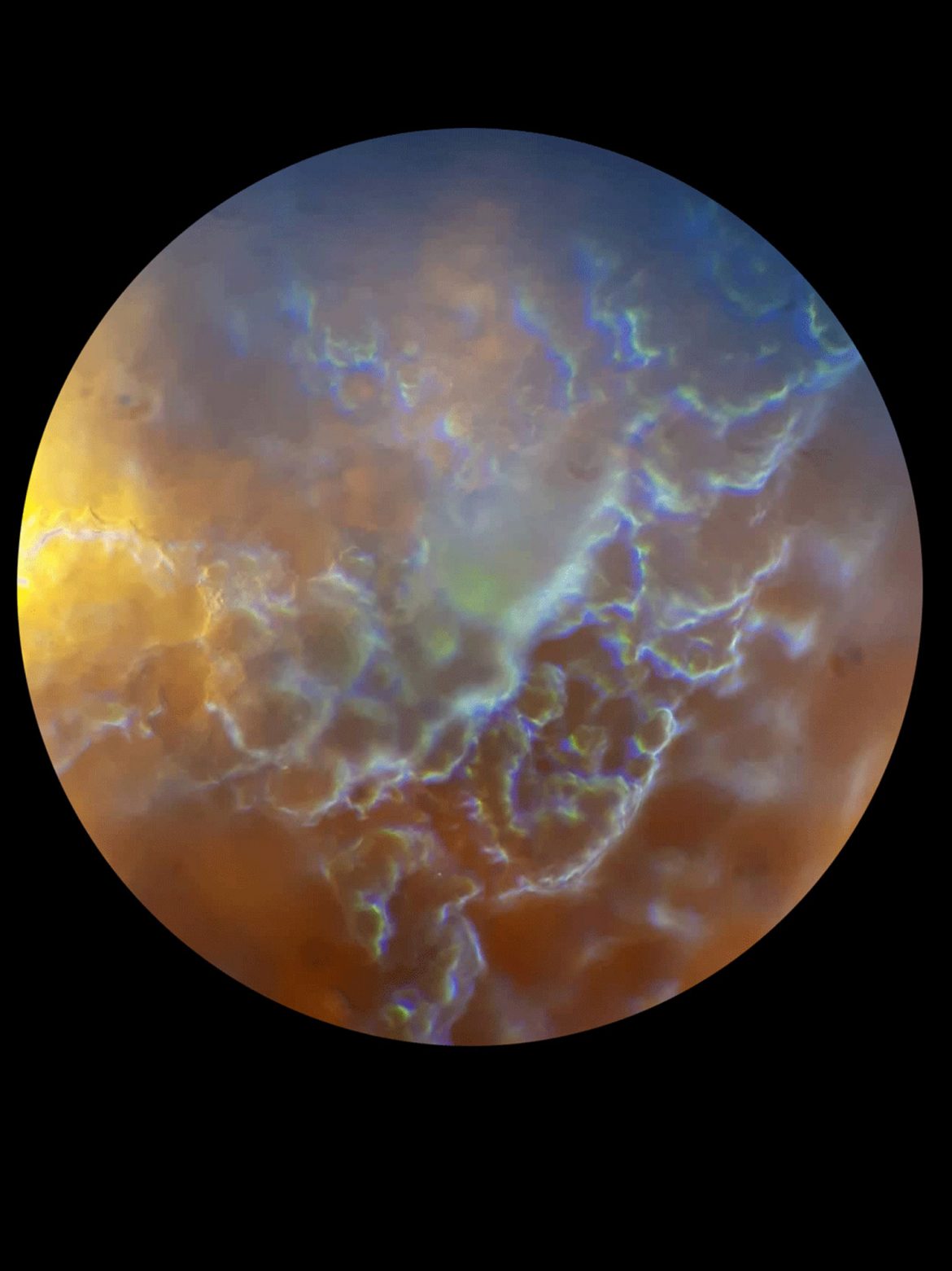 2022_Rangel_Reciprocity_Reference